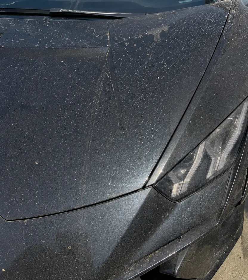 Before detailing
